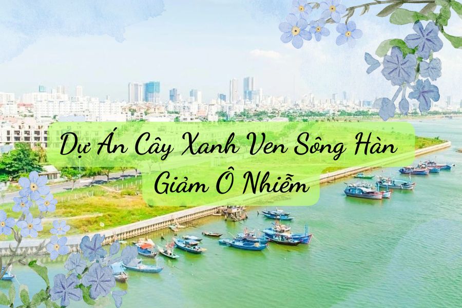 Dự Án Cây Xanh Ven Sông Hàn Giảm Ô Nhiễm