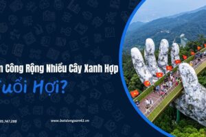 Ban Công Rộng Nhiều Cây Xanh Hợp Tuổi Hợi?