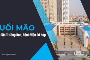 Nhà Gần Trường Học, Bệnh Viện Có Hợp Tuổi Mão?