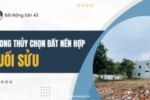 Phong Thủy Chọn Đất Nền Hợp Tuổi Sửu