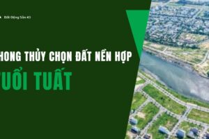 Phong Thủy Chọn Đất Nền Hợp Tuổi Tuất
