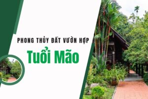Phong Thủy Đất Vườn Hợp Tuổi Mão
