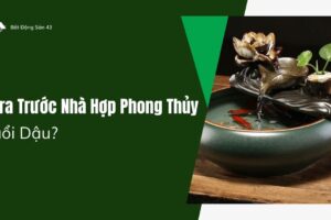 Gara Trước Nhà Hợp Phong Thủy Tuổi Dậu?
