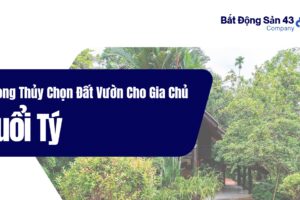 Phong Thủy Chọn Đất Vườn Cho Gia Chủ Tuổi Tý