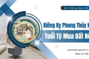 Kiêng Kỵ Phong Thủy Khi Tuổi Tý Mua Đất Nền