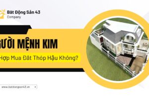 Người Mệnh Kim Có Hợp Mua Đất Thóp Hậu Không?
