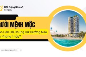 Người Mệnh Mộc Chọn Căn Hộ Chung Cư Hướng Nào Hợp Phong Thủy?