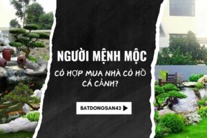 Người Mệnh Mộc Có Hợp Mua Nhà Có Hồ Cá Cảnh?