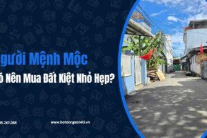 Người Mệnh Mộc Có Nên Mua Đất Kiệt Nhỏ Hẹp?