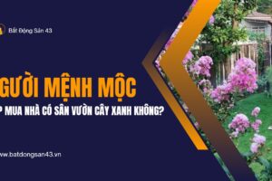 Người Mệnh Mộc Hợp Mua Nhà Có Sân Vườn Cây Xanh Không?