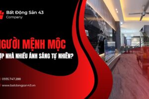 Người Mệnh Mộc Hợp Nhà Nhiều Ánh Sáng Tự Nhiên?