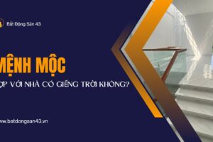 Mệnh Mộc Hợp Với Nhà Có Giếng Trời Không?