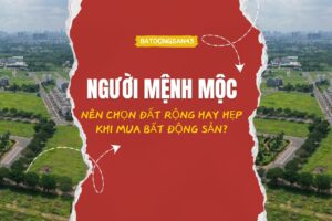 Người Mệnh Mộc Nên Chọn Đất Rộng Hay Hẹp Khi Mua Bất Động Sản?