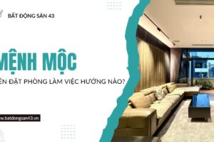 Mệnh Mộc Nên Đặt Phòng Làm Việc Hướng Nào?