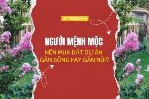 Người Mệnh Mộc Nên Mua Đất Dự Án Gần Sông Hay Gần Núi?