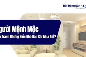 Người Mệnh Mộc Nên Tránh Những Kiểu Nhà Nào Khi Mua Đất?