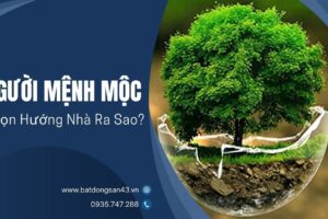 Người Mệnh Mộc Chọn Hướng Nhà Ra Sao?