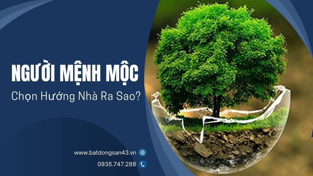 Người Mệnh Mộc Chọn Hướng Nhà Ra Sao