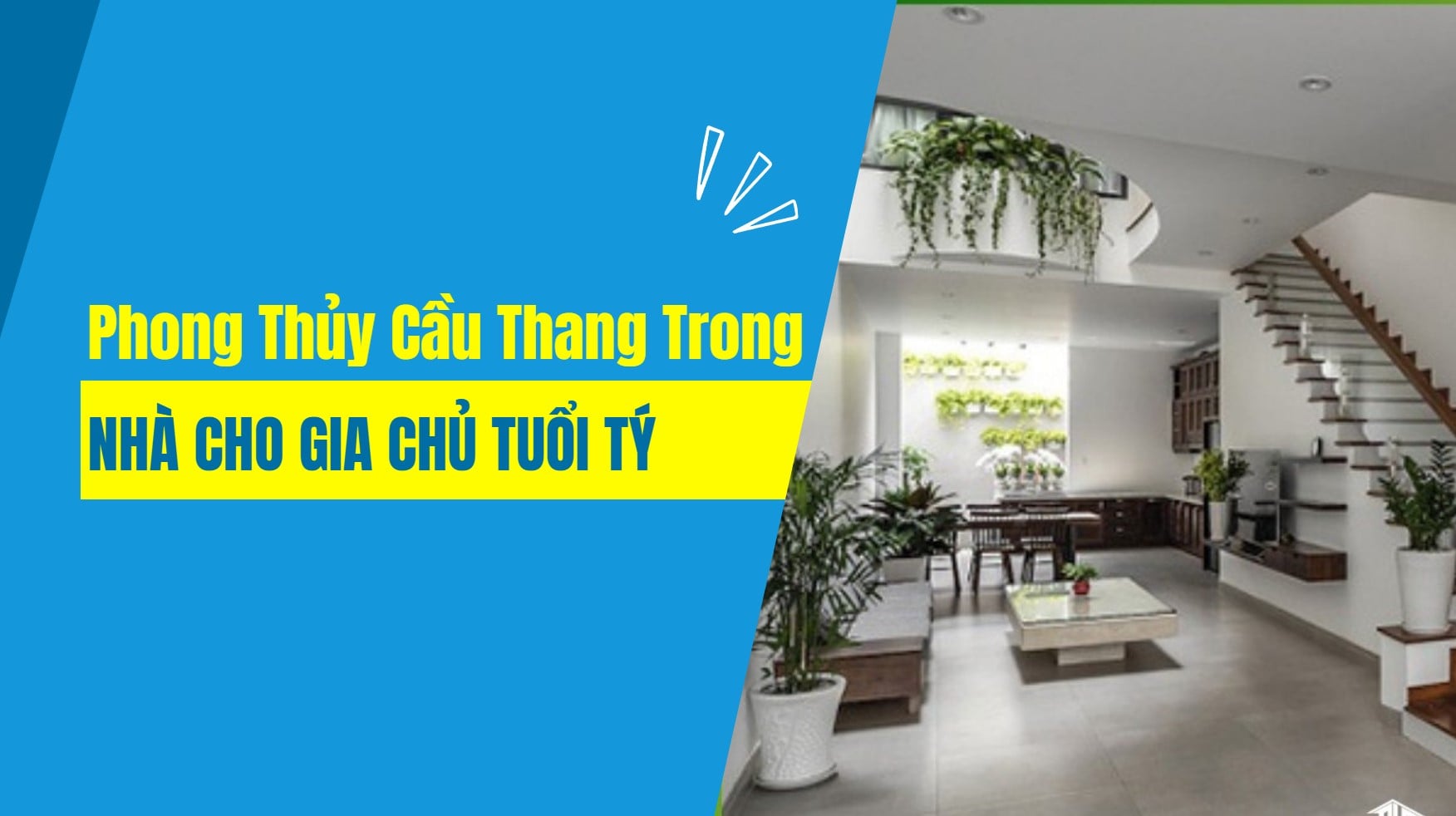 Nhà Cho Gia Chủ Tuổi Tý