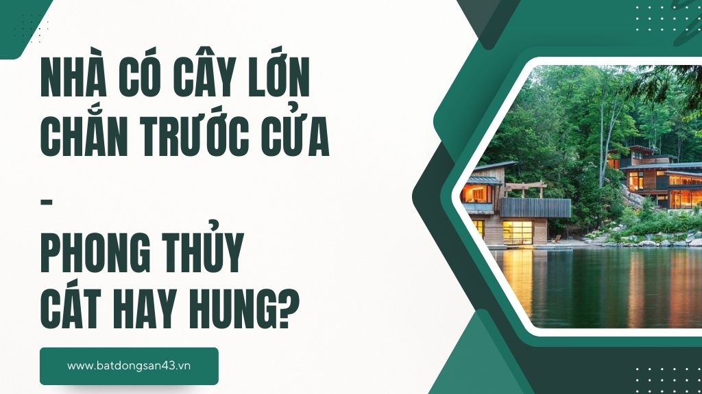 Nhà Có Cây Lớn Chắn Trước Cửa – Phong Thủy Cát Hay Hung