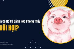 Nhà Có Hồ Cá Cảnh Hợp Phong Thủy Tuổi Hợi?