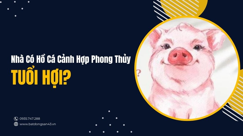 Nhà Có Hồ Cá Cảnh Hợp Phong Thủy Tuổi Hợi