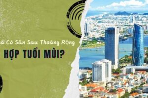 Nhà Có Sân Sau Thoáng Rộng Hợp Tuổi Mùi?