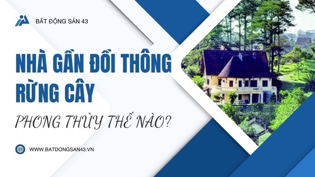 Nhà Gần Đồi Thông, Rừng Cây – Phong Thủy Thế Nào