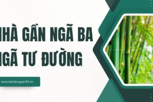 Nhà Gần Ngã Ba, Ngã Tư Đường – Phong Thủy Tốt Hay Xấu?