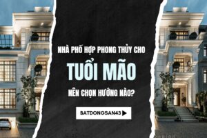 Nhà Phố Hợp Phong Thủy Cho Tuổi Mão – Nên Chọn Hướng Nào?