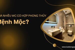 Nhà Nhiều WC Có Hợp Phong Thủy Mệnh Mộc?