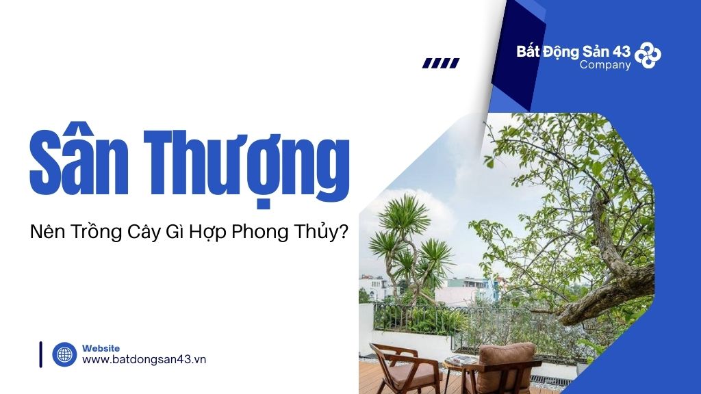 Sân Thượng Nên Trồng Cây Gì Hợp Phong Thủy