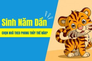 Sinh Năm Dần – Chọn Nhà Theo Phong Thủy Thế Nào?
