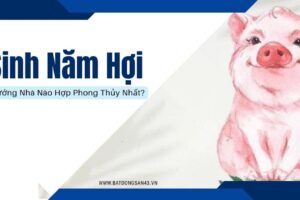 Sinh Năm Hợi – Hướng Nhà Nào Hợp Phong Thủy Nhất?