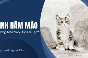 Sinh Năm Mão – Hướng Nhà Nào Hút Tài Lộc?