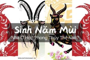 Sinh Năm Mùi – Nhà Ở Hợp Phong Thủy Thế Nào?