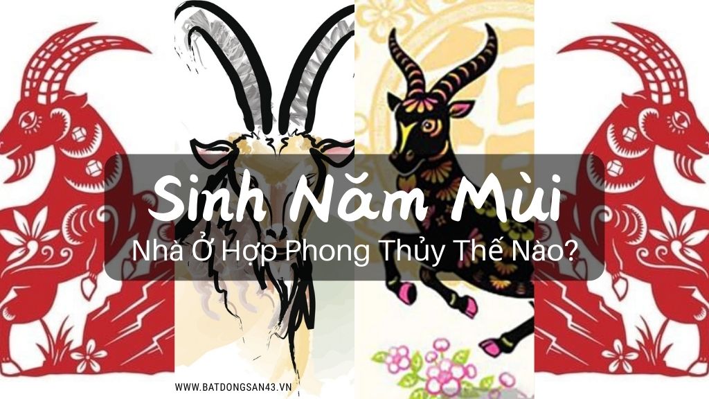 Sinh Năm Mùi – Nhà Ở Hợp Phong Thủy Thế Nào