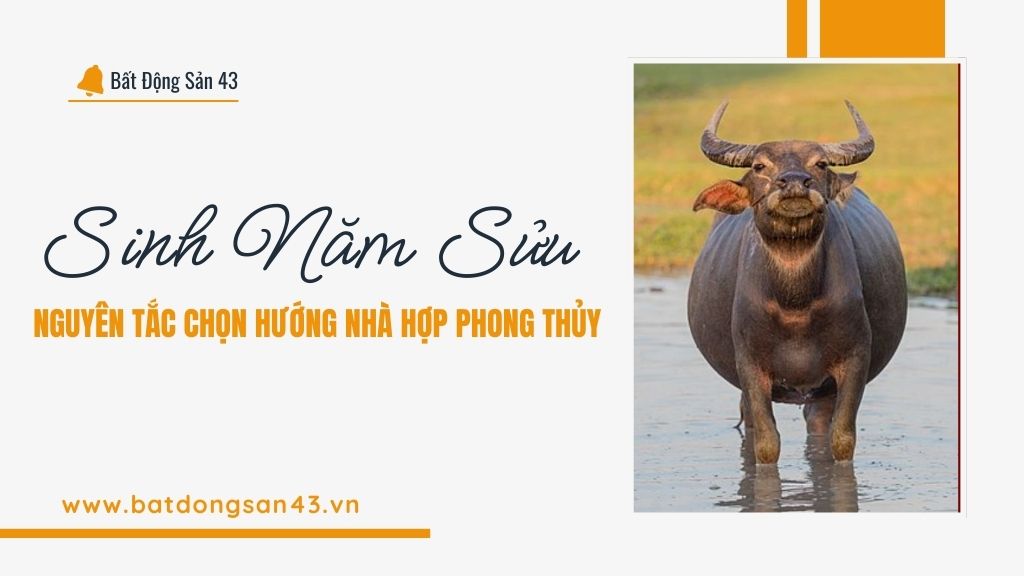 Sinh Năm Sửu – Nguyên Tắc Chọn Hướng Nhà Hợp Phong Thủy
