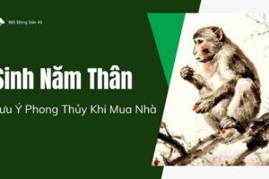 Sinh Năm Thân – Lưu Ý Phong Thủy Khi Mua Nhà