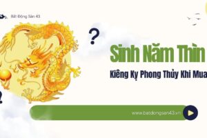 Sinh Năm Thìn – Kiêng Kỵ Phong Thủy Khi Mua Nhà
