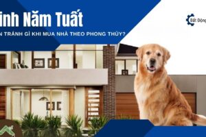 Sinh Năm Tuất – Nên Tránh Gì Khi Mua Nhà Theo Phong Thủy?