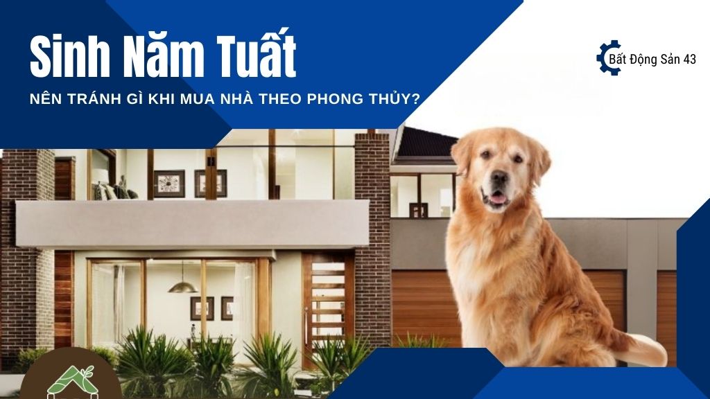 Sinh Năm Tuất – Nên Tránh Gì Khi Mua Nhà Theo Phong Thủy