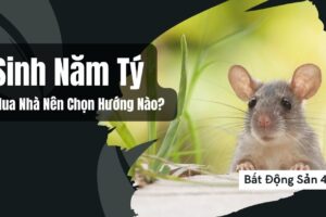 Sinh Năm Tý Mua Nhà Nên Chọn Hướng Nào?