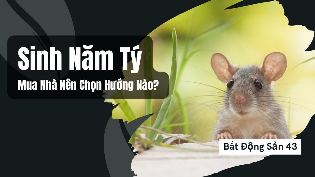 Sinh Năm Tý Mua Nhà Nên Chọn Hướng Nào