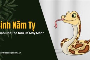 Sinh Năm Tỵ – Chọn Nhà Thế Nào Để May Mắn?