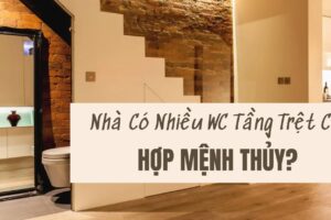 Nhà Có Nhiều WC Tầng Trệt Có Hợp Mệnh Thủy?