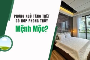 Phòng Ngủ Tầng Trệt Có Hợp Phong Thủy Mệnh Mộc?