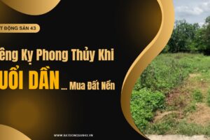 Kiêng Kỵ Phong Thủy Khi Tuổi Dần Mua Đất Nền