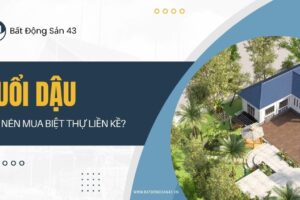 Tuổi Dậu Có Nên Mua Biệt Thự Liền Kề?