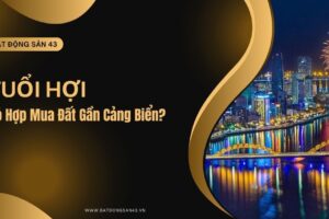Tuổi Hợi Có Hợp Mua Đất Gần Cảng Biển?